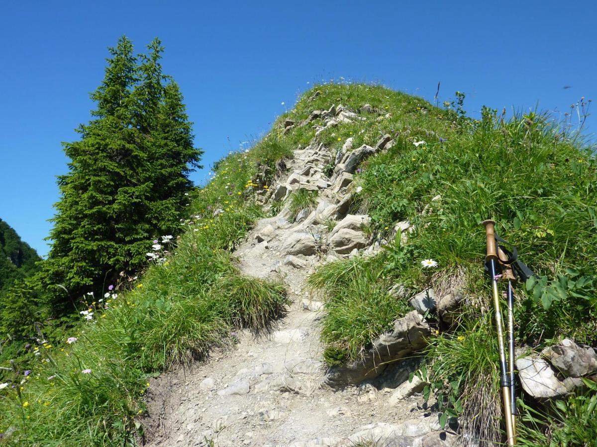 Gaestehaus Alpina Riezlern Zewnętrze zdjęcie